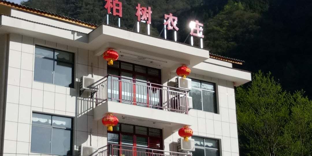 神农架柏树农庄