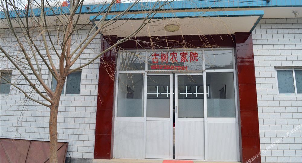 梨木台古树村农院