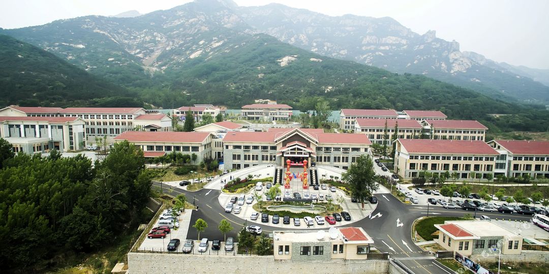 招远招金舜和国际返点