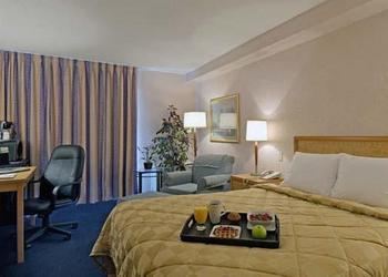 Comfort Inn Brandon Division No 7 Manitoba Price Address Reviews