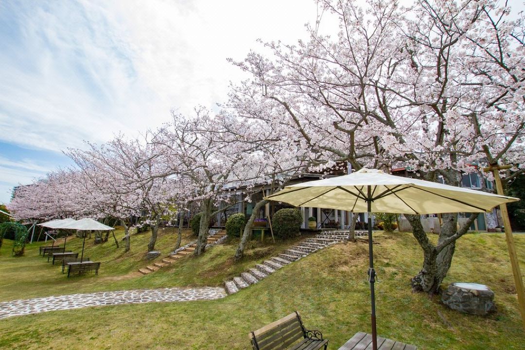 리조트 호텔 모아나 코스트