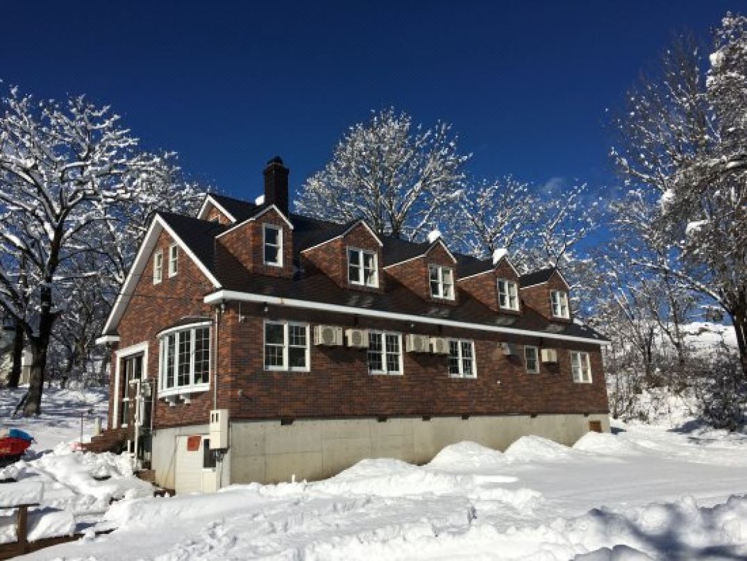 Guest House Bunk
