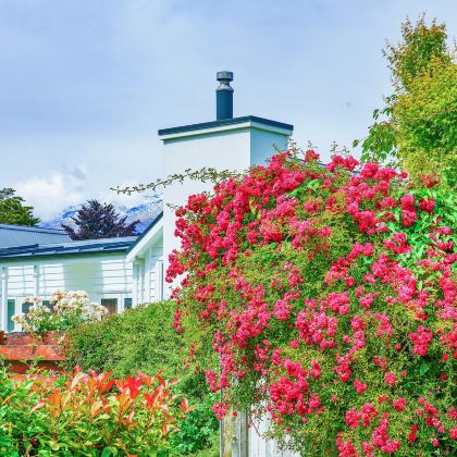 新西兰南岛+北岛+凯库拉+库克山+弗朗兹约瑟夫冰川20日19晚拼小团 新西兰南岛+北岛+凯库拉+库克山+弗朗兹约瑟夫冰川20日19晚拼小团