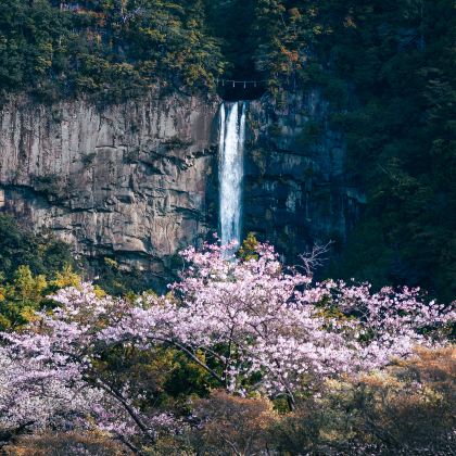 日本大阪+熊野那智神社+那智瀑布2日1晚跟团游 日本大阪+熊野那智神社+那智瀑布2日1晚跟团游