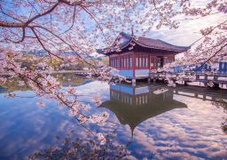 travel picture