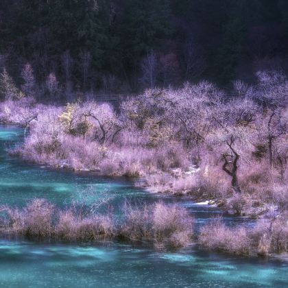 九寨沟风景区4日3晚私家团 九寨沟风景区4日3晚私家团