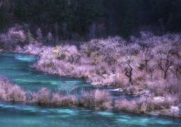 travel picture