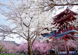 travel picture