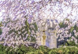 travel picture