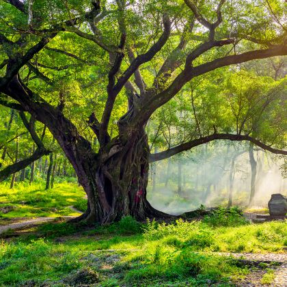 霞浦+太姥山5日4晚自由行 霞浦+太姥山5日4晚自由行