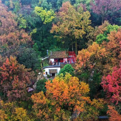 长沙+岳麓山+岳麓书院+橘子洲景区+杜甫江阁+龙虎山风景名胜区+象鼻山+仙水岩芦溪河竹筏漂流+桃花洲+上清古镇+正一观+大上清宫遗址文创厅+无蚊村6日5晚私家团 长沙+岳麓山+岳麓书院+橘子洲景区+杜甫江阁+龙虎山风景名胜区+象鼻山+仙水岩芦溪河竹筏漂流+桃花洲+上清古镇+正一观+大上清宫遗址文创厅+无蚊村6日5晚私家团