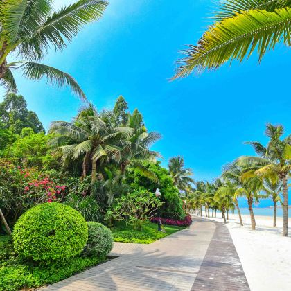 三亚+乐东+东方+昌江+儋州+临高+澄迈+海口8日7晚私家团 三亚+乐东+东方+昌江+儋州+临高+澄迈+海口8日7晚私家团