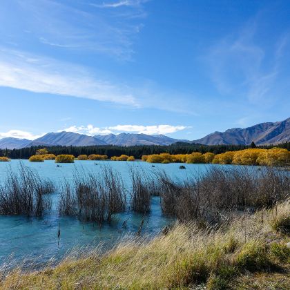 新西兰南岛+皇后镇+瓦纳卡+特卡波湖6日5晚私家团 新西兰南岛+皇后镇+瓦纳卡+特卡波湖6日5晚私家团