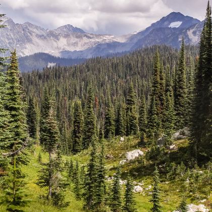 加拿大班夫国家公园7日6晚跟团游 加拿大班夫国家公园7日6晚跟团游