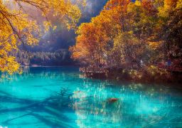 travel picture