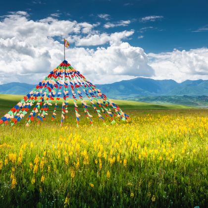 甘肃临夏回族自治州+甘南+兰州水墨丹霞旅游景区+炳灵寺石窟+八坊十三巷+拉卜楞寺+桑科湿地公园+桑科草原2日1晚跟团游 甘肃临夏回族自治州+甘南+兰州水墨丹霞旅游景区+炳灵寺石窟+八坊十三巷+拉卜楞寺+桑科湿地公园+桑科草原2日1晚跟团游