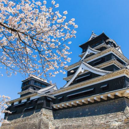 日本九州+北九州+熊本+宫崎+大分+福冈+佐贺6日5晚跟团游 日本九州+北九州+熊本+宫崎+大分+福冈+佐贺6日5晚跟团游