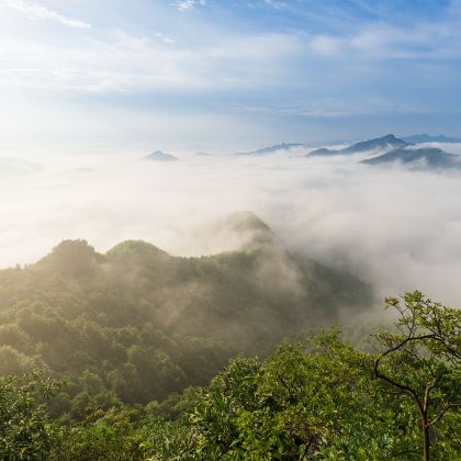 阜阳+亳州5日4晚私家团 阜阳+亳州5日4晚私家团
