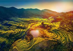 travel picture