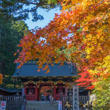 日本东京+日光市+轻井泽町6日5晚私家团 日本东京+日光市+轻井泽町6日5晚私家团