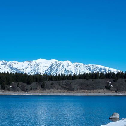 美国东西海岸+黄石国家公园+尼亚加拉瀑布16日跟团游 美国东西海岸+黄石国家公园+尼亚加拉瀑布16日跟团游