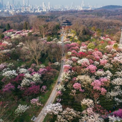 南京4日3晚拼小团 南京4日3晚拼小团