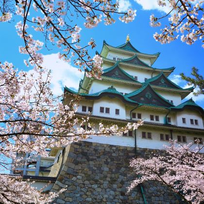日本名古屋+富山市+飞弹高地+金泽+白川町+下吕市+上高地8日7晚拼小团 日本名古屋+富山市+飞弹高地+金泽+白川町+下吕市+上高地8日7晚拼小团