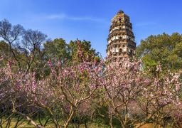 travel picture