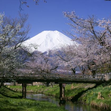 日本东京+富士山+北海道札幌+登别+洞爷湖町+小樽7日6晚跟团游 日本东京+富士山+北海道札幌+登别+洞爷湖町+小樽7日6晚跟团游