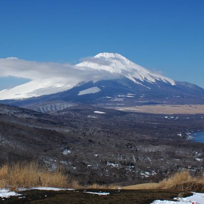 日本东京+镰仓市+富士山5日4晚私家团