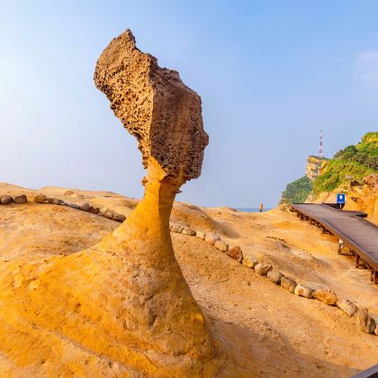 野柳+十分+猴硐+九份【台北出发|外语导游随行|一日游】 野柳+十分+猴硐+九份【台北出发|外语导游随行|一日游】