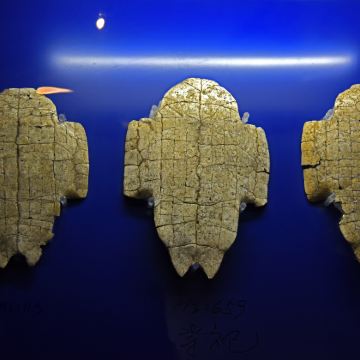 河南7日6晚跟团游 河南7日6晚跟团游