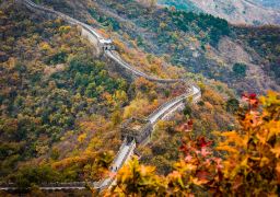 travel picture
