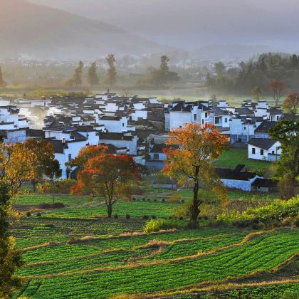 婺源篁岭景区+宏村景区+塔川+徽州古城+西溪南古村落+横江山水竹筏4日3晚私家团 婺源篁岭景区+宏村景区+塔川+徽州古城+西溪南古村落+横江山水竹筏4日3晚私家团
