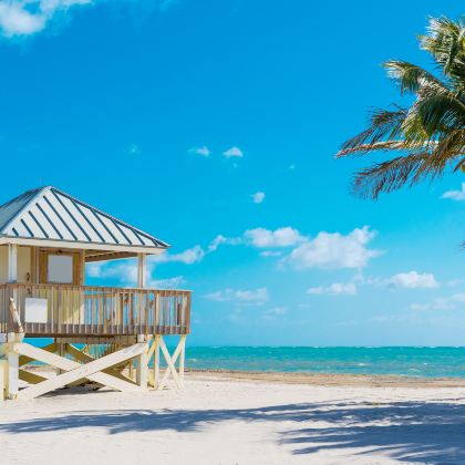 美国迈阿密+基韦斯特+奥兰多10日9晚拼小团 美国迈阿密+基韦斯特+奥兰多10日9晚拼小团