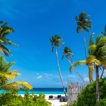 法国尼斯+马赛7日私家团 法国尼斯+马赛7日私家团