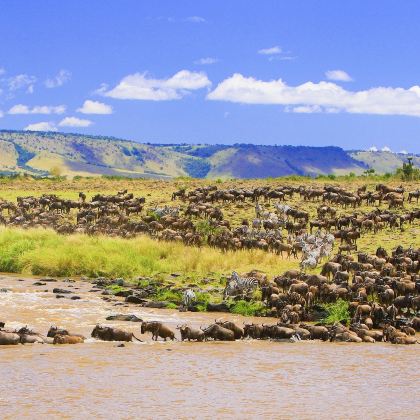 肯尼亚内罗毕+马赛马拉国家保护区+东非大裂谷观景点3日2晚拼小团 肯尼亚内罗毕+马赛马拉国家保护区+东非大裂谷观景点3日2晚拼小团