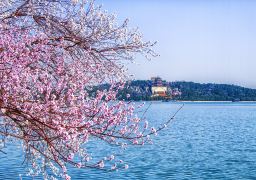 travel picture