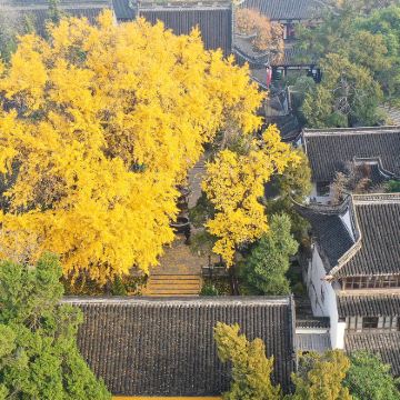 江苏扬州+瘦西湖2日1晚跟团游 江苏扬州+瘦西湖2日1晚跟团游