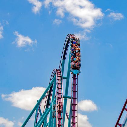 美国迈阿密+基韦斯特岛+劳德代尔堡+奥兰多11日8晚跟团游 美国迈阿密+基韦斯特岛+劳德代尔堡+奥兰多11日8晚跟团游