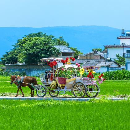 大理市+洱海+喜洲5日4晚私家团 大理市+洱海+喜洲5日4晚私家团
