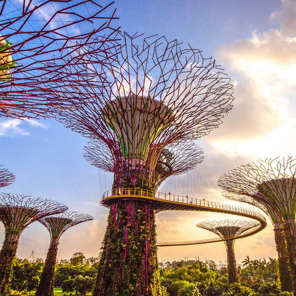 新加坡滨海湾花园+DUCKtours鸭子船+鱼尾狮公园+双螺旋桥+新加坡摩天观景轮一日游