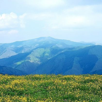 太原+大同+五台山+忻州古城+平遥古城6日5晚私家团 太原+大同+五台山+忻州古城+平遥古城6日5晚私家团