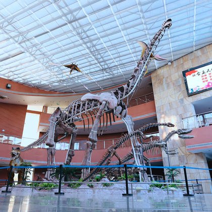 广东河源恐龙博物馆+亚洲第一高喷泉+巴伐利亚庄园一日游
