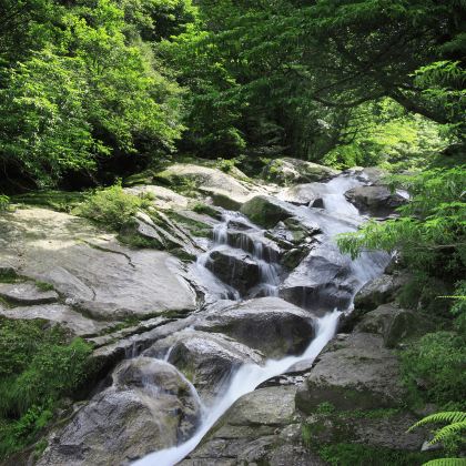 阜阳+亳州5日4晚私家团 阜阳+亳州5日4晚私家团