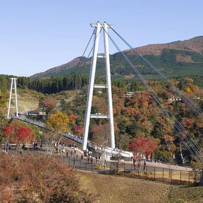 日本福冈太宰府天满宫+浮羽稻荷神社+九重“梦”大吊桥一日游 日本福冈太宰府天满宫+浮羽稻荷神社+九重“梦”大吊桥一日游