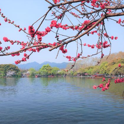 上海+杭州5日4晚私家团 上海+杭州5日4晚私家团