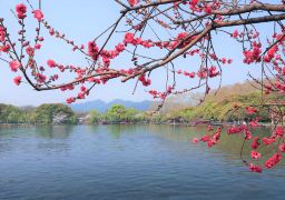 travel picture