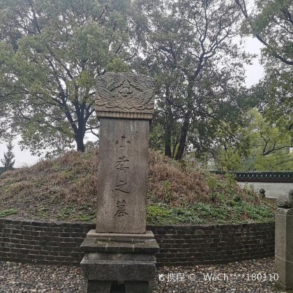 岳阳楼景区+洞庭湖+屈子文化园+小乔墓+汴河街一日游 岳阳楼景区+洞庭湖+屈子文化园+小乔墓+汴河街一日游