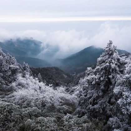 长沙+韶山+衡山4日3晚跟团游 长沙+韶山+衡山4日3晚跟团游